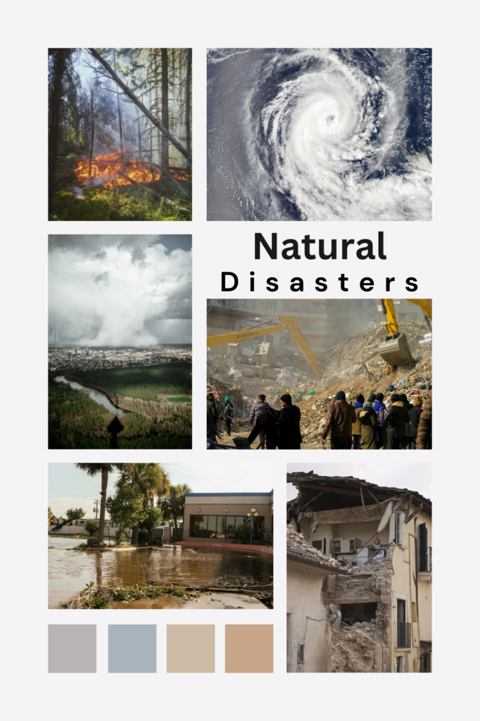 Natural disasters